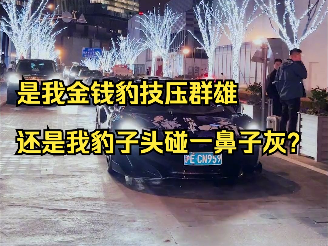 是我金钱豹技压群雄还是我豹子头碰一鼻子灰?