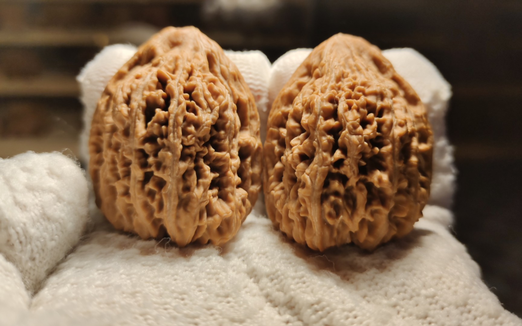 拍对原版九龙筋 纹路巨漂亮