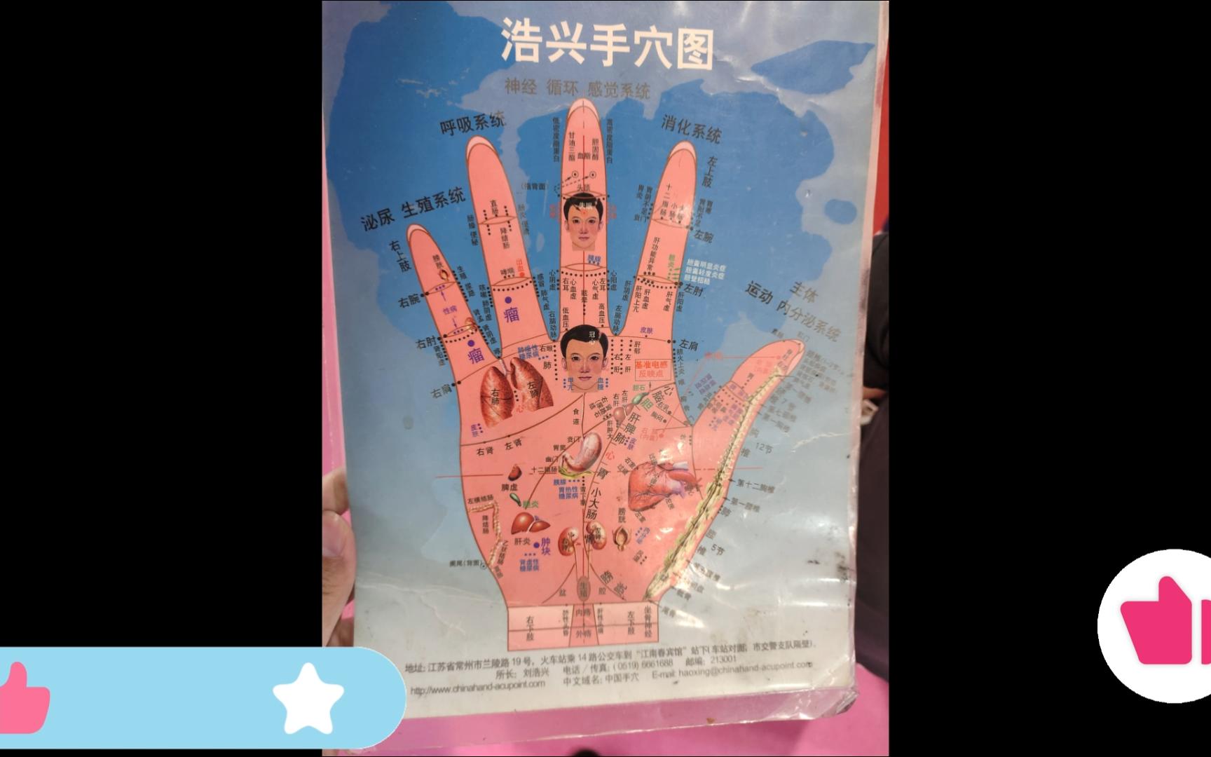 手掌穴位图
