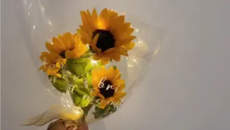 单只向日葵花束包装制作教程 哔哩哔哩 Bilibili