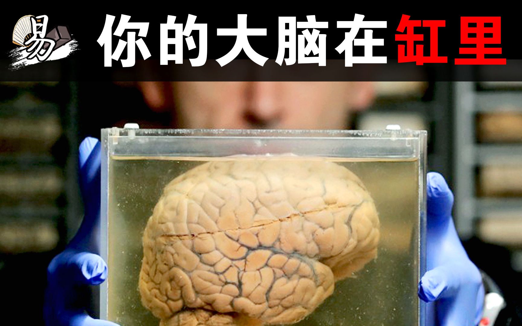 如果你的脑子被放到了缸里,那你还是你嘛?超恐怖的脑洞"缸中之脑"