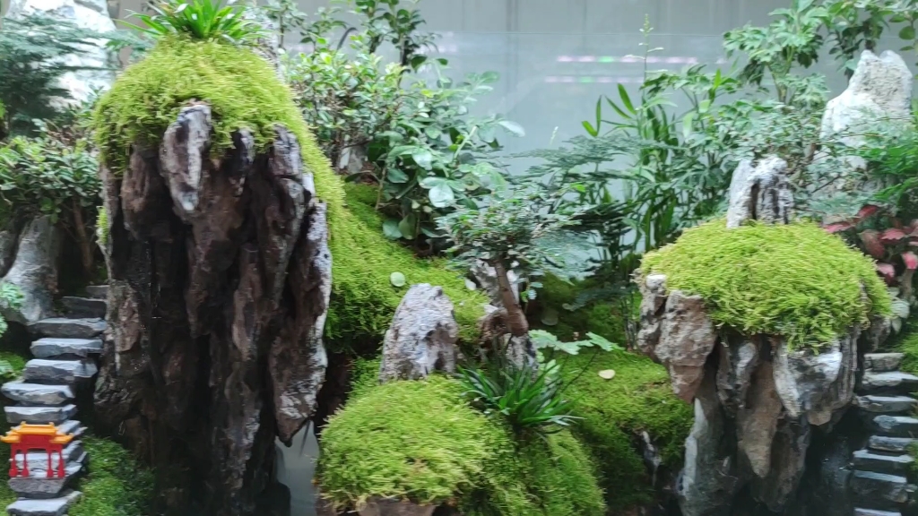 水陆缸造景悬空效果.