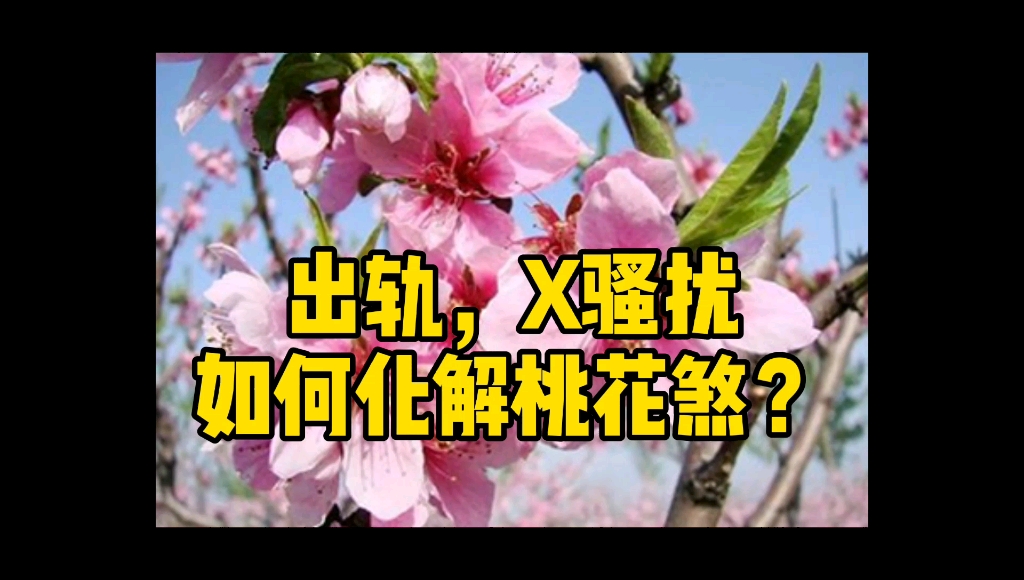 出轨,x骚扰,如何化解桃花煞?