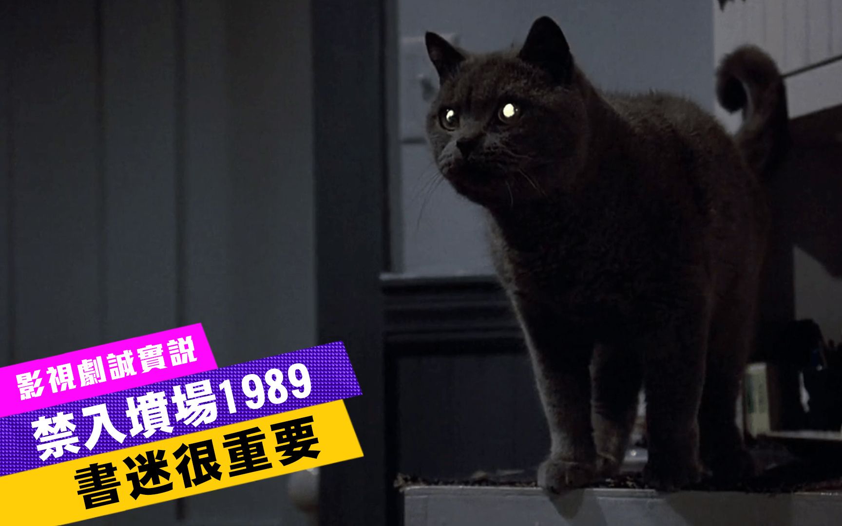 [图]《禁入坟场1989年版/Pet Sematary》心很累…连猫叫声都自己配音