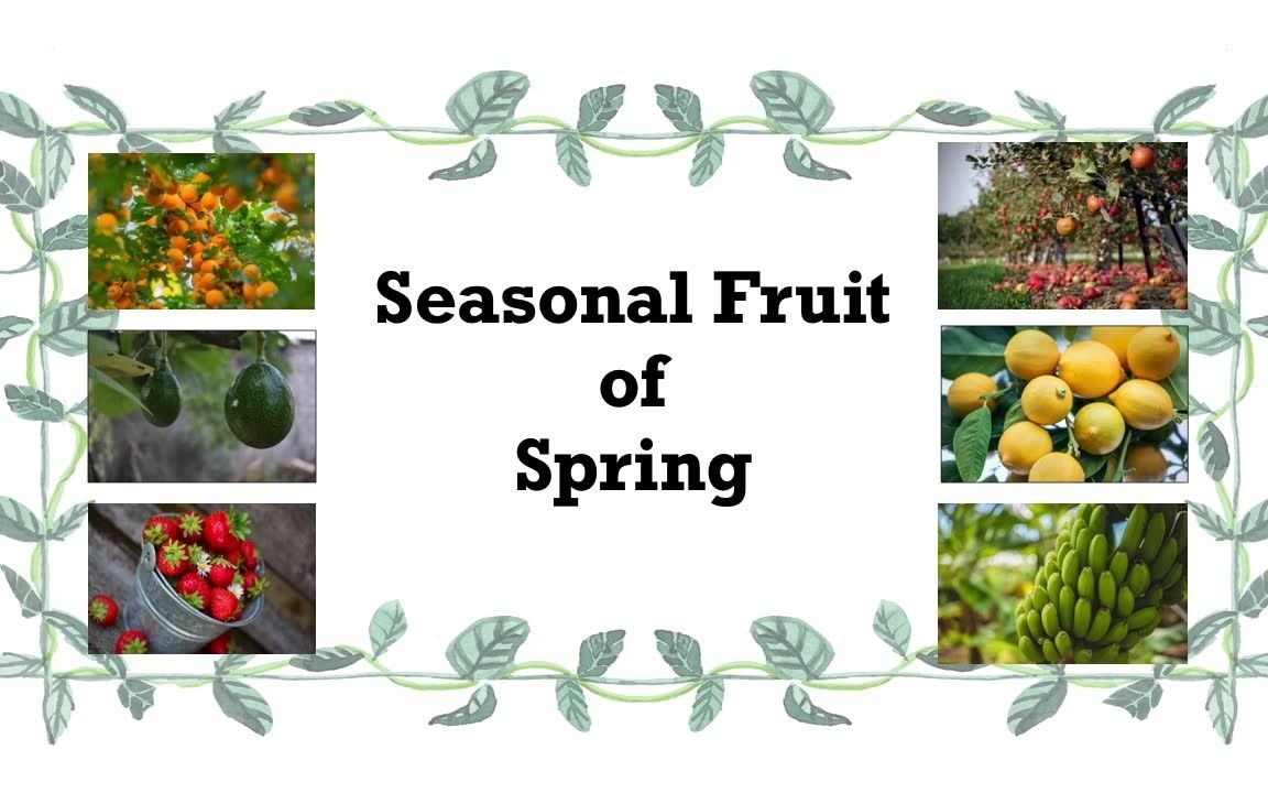 春季水果英语怎么说?Seasonal Fruit  Spring哔哩哔哩bilibili