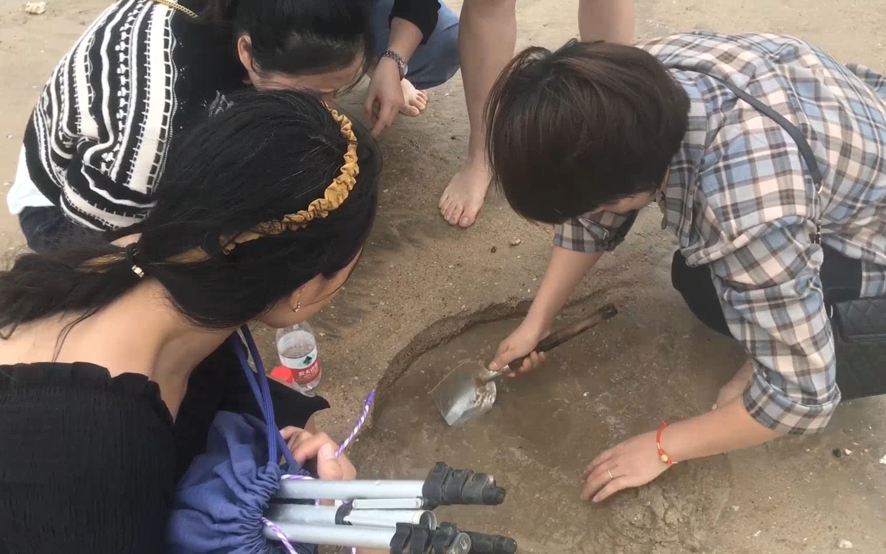 啊诚和媳妇赶海遇美女游客学习赶海手把手教今天又爆两桶了