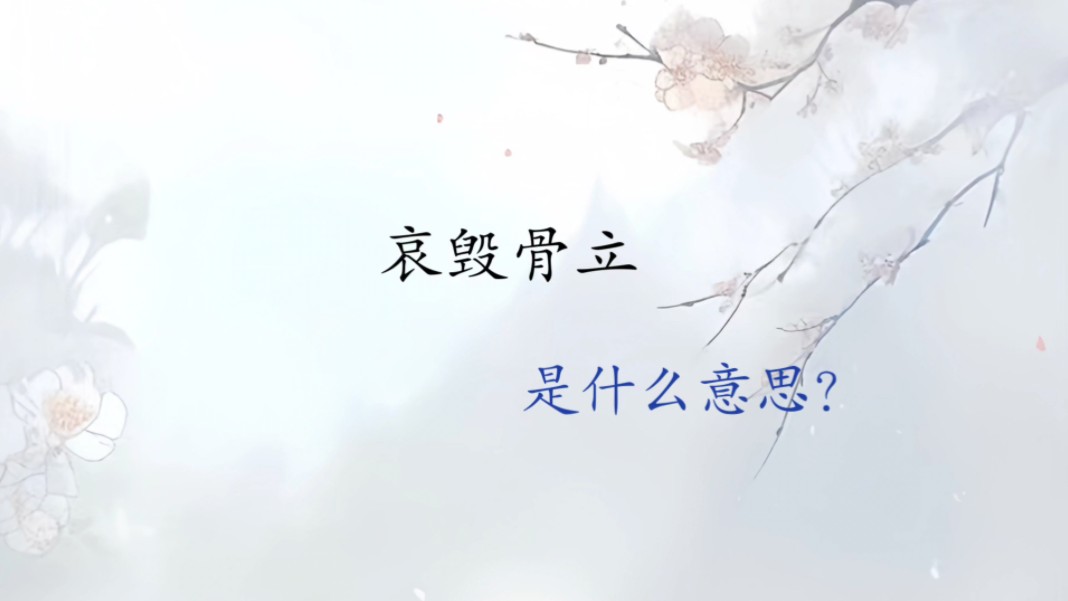 【成语典故】哀毁骨立