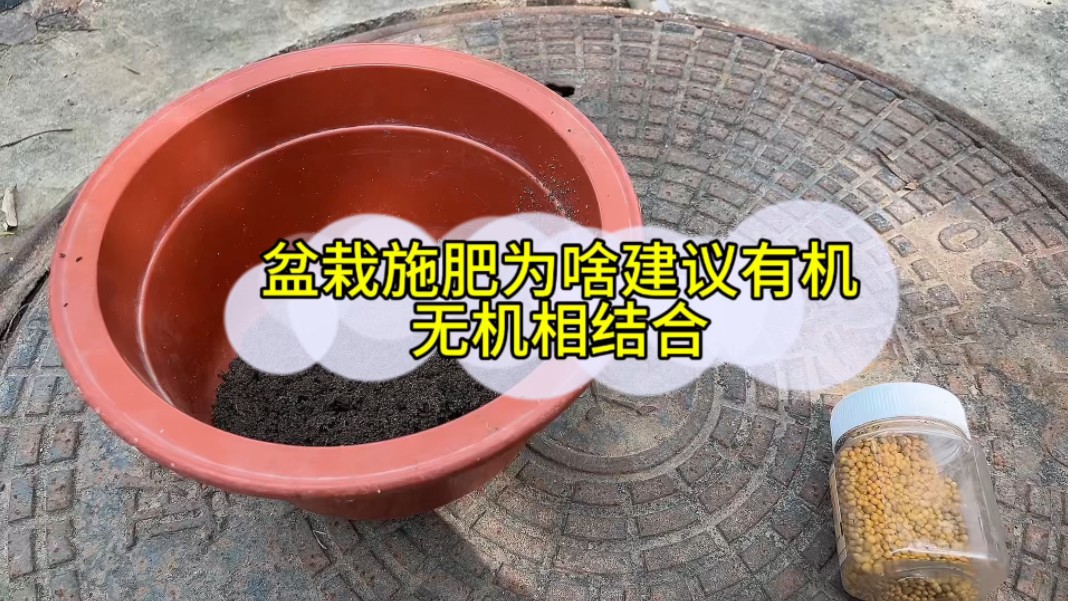 植物施肥为啥建议有机无机相结合哔哩哔哩bilibili