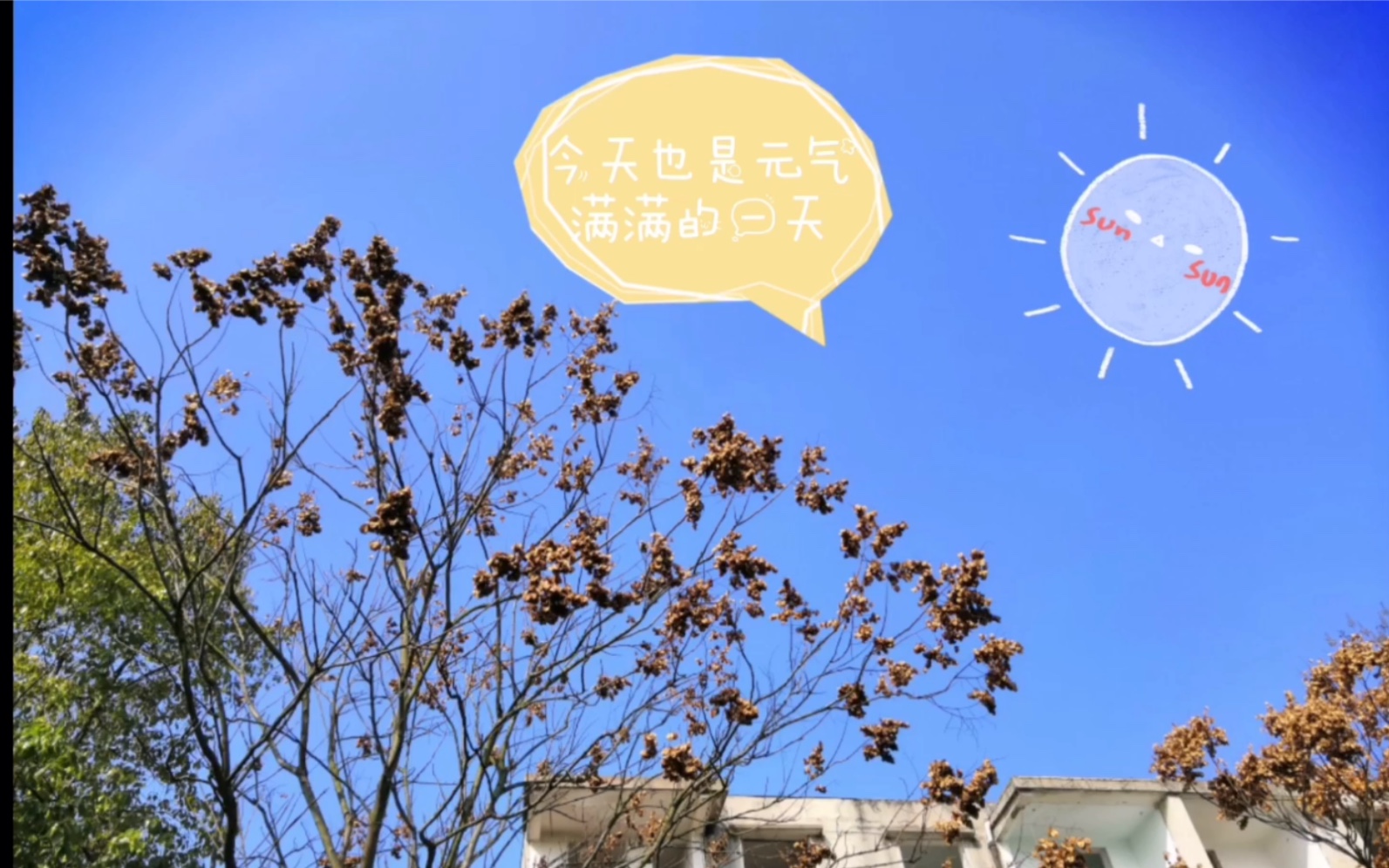 又是元气满满的一天
