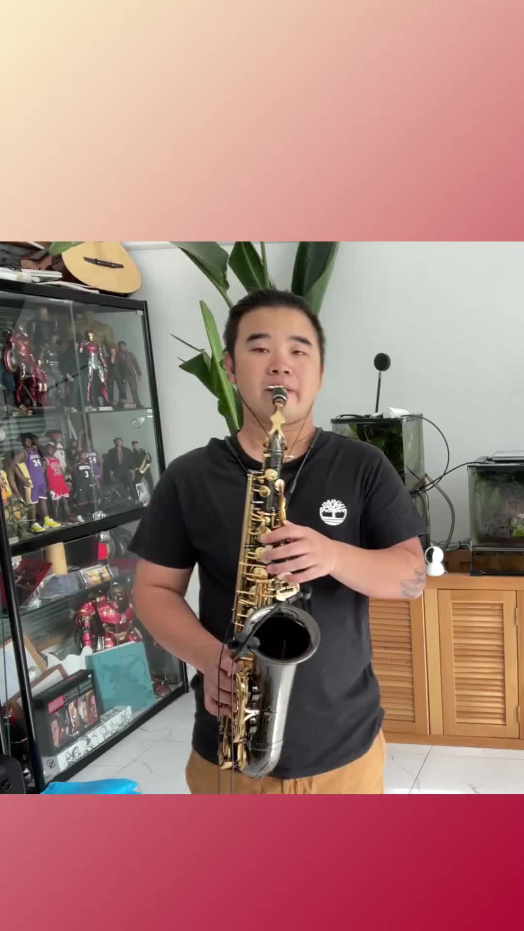 一首好听的今天是你的生日中国送给大家萨克斯