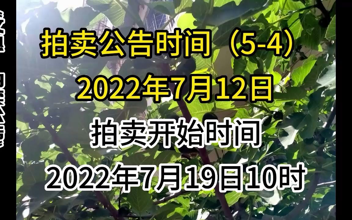 2022年7月12日哈尔滨拍卖公告“文熟”(54)哔哩哔哩bilibili