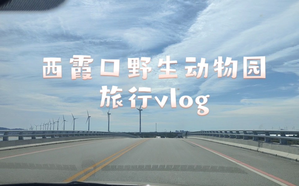 威海旅行Vlog02 | 动物园里有什么 | 西霞口神雕山野生动物园 | 大海边的伊甸园哔哩哔哩bilibili