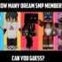 只听声音，你能猜出几位DreamSMP成员？