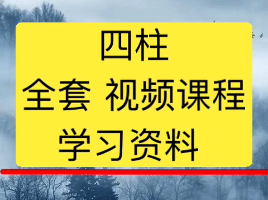 四柱八字完整教学四柱八字基础入门四柱八字零基础到实战教程200节四柱预测学四柱代表什么四柱八字零基础入门教程四柱预测学邵伟华四柱开荒四柱全阴...