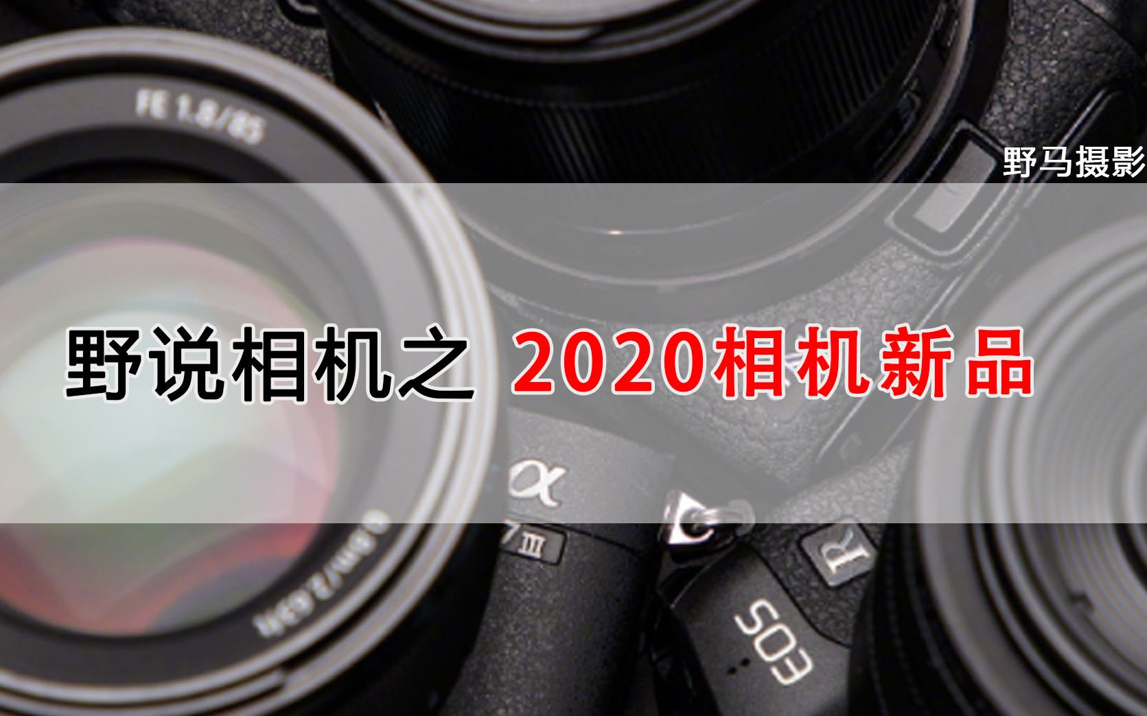 2020相机市场盘点:四大厂商混战,除了万众瞩目的EOS R5,还有啥哔哩哔哩bilibili