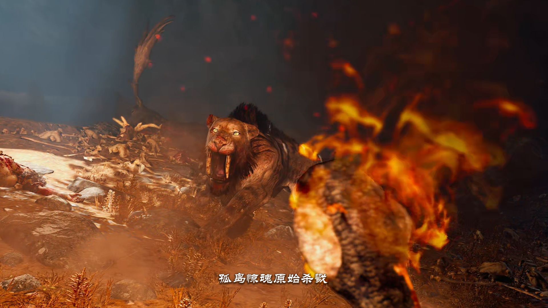 孤岛惊魂原始杀戮p27