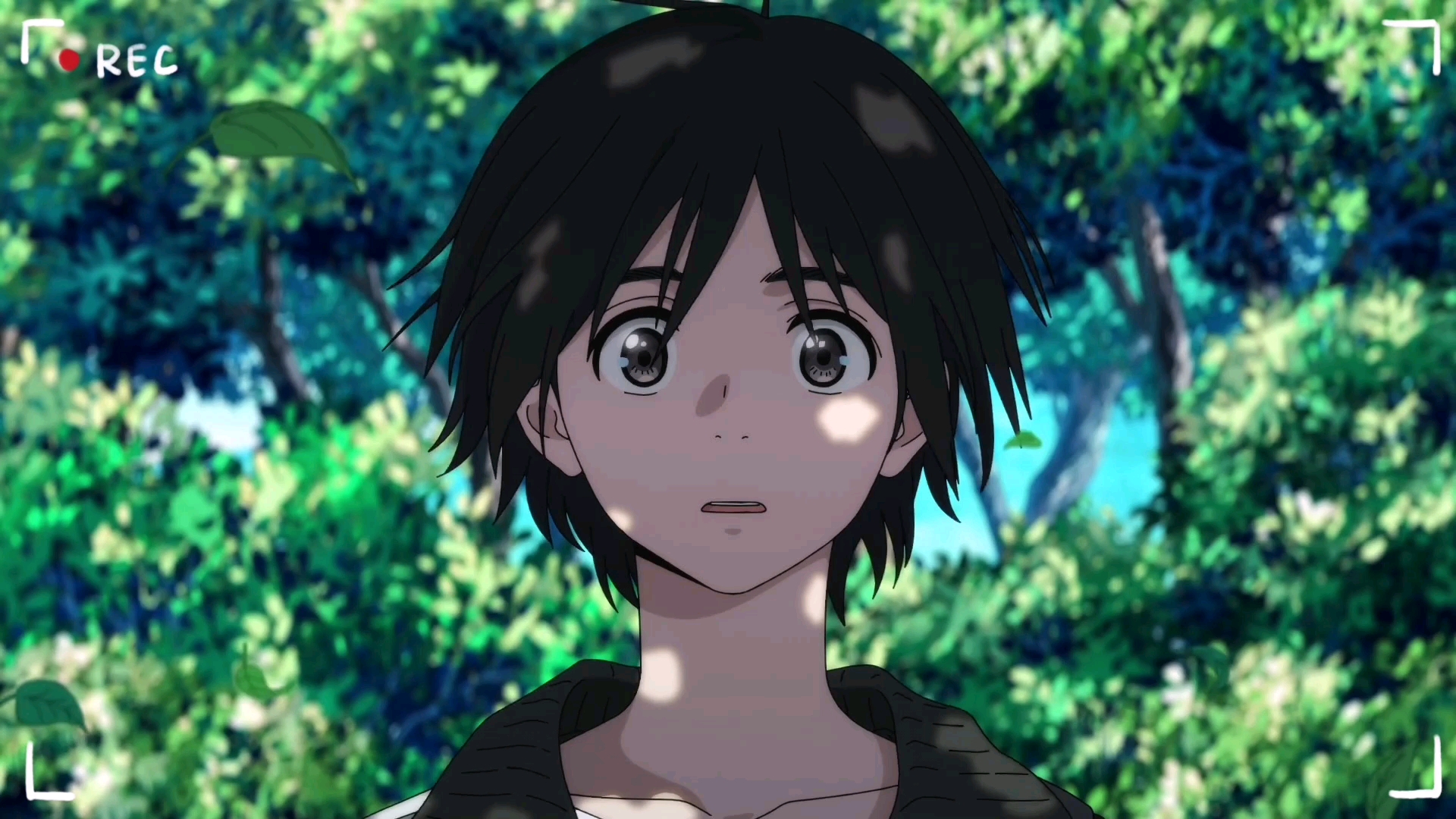 海边的异邦人|少年的心动是仲夏夜的荒原.