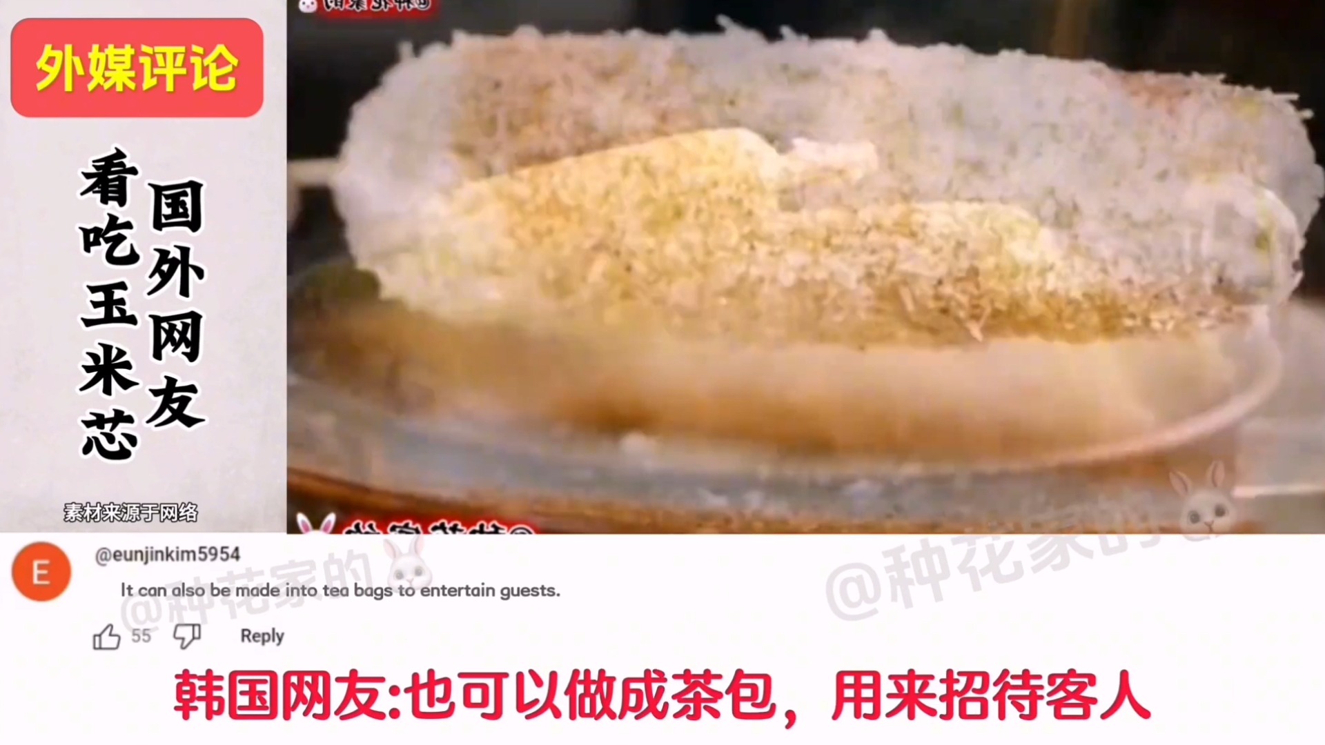 韩国网友说玉米芯可以熬粥喝,各国网友纷纷不解#玉米 #歪果仁【外网