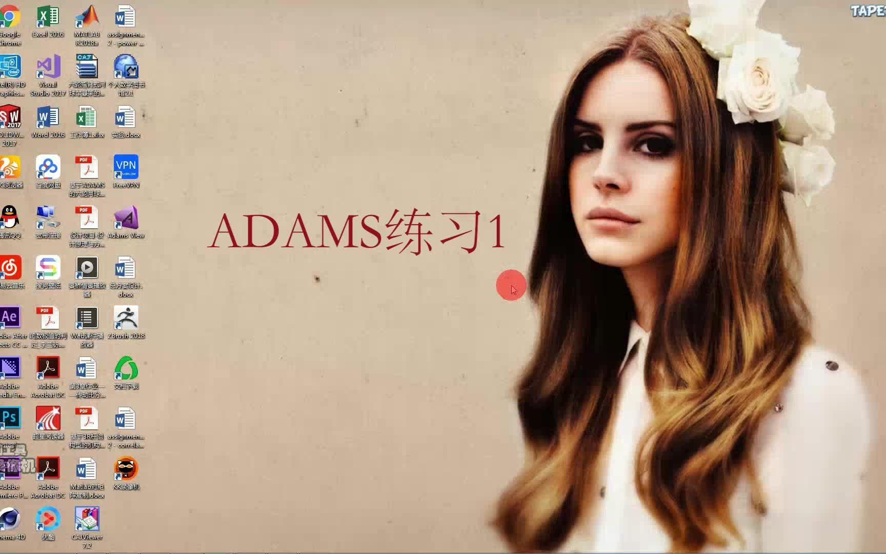 adams练习1哔哩哔哩bilibili