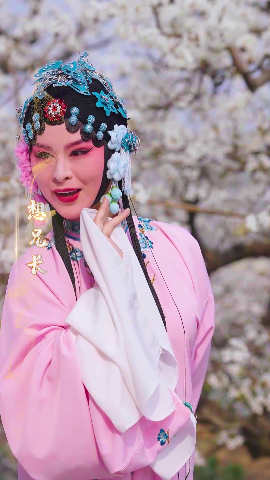 各位戏迷今天来欣赏淮剧玉杯记选段蝴蝶双双花前绕中华淮剧淮剧雅