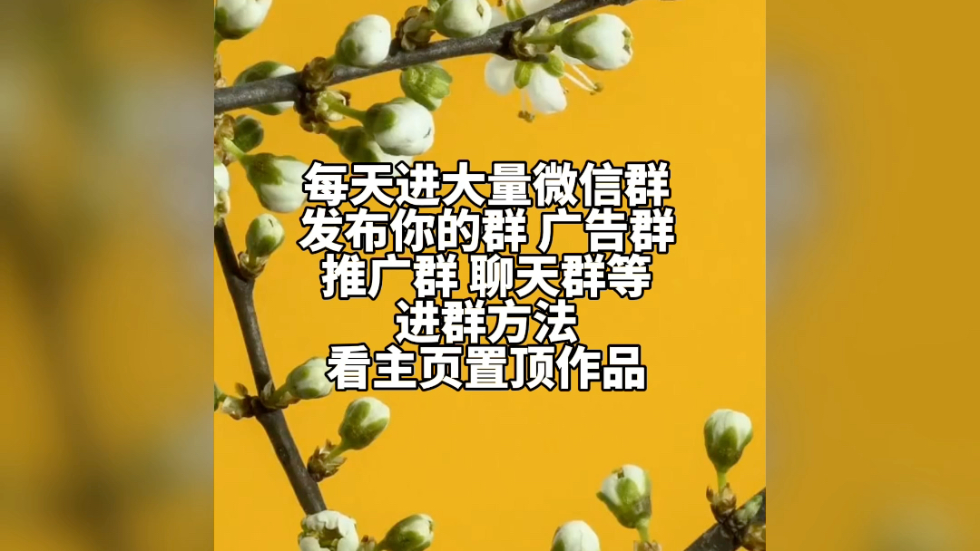 每天更新地区群行业群相亲群交友群单身群交流群微信群二维码