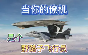 Download Video: 【DCS】当你的“僚机”是个野路子飞行员（16）