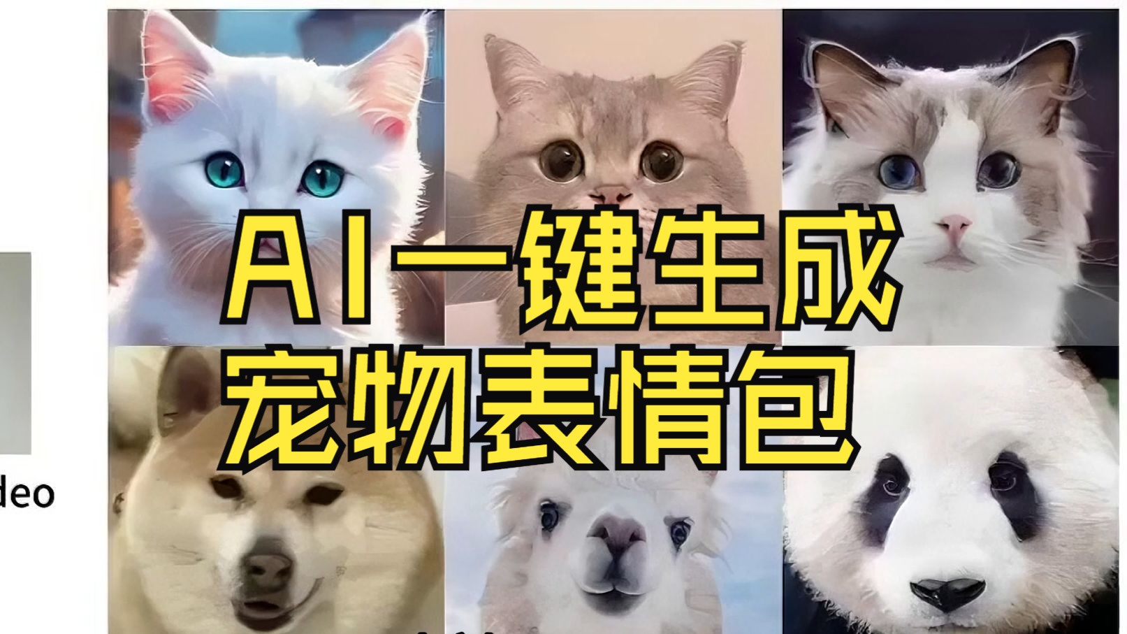 LivePortrait Animals版本整合包,一键生成宠物表情包哔哩哔哩bilibili