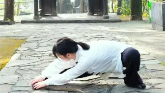 仆步基本功拉伸