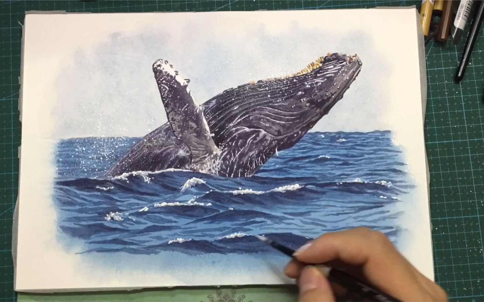 【水彩教程】教你用水彩画马达加斯加座头鲸 lc水彩动物_哔哩哔哩