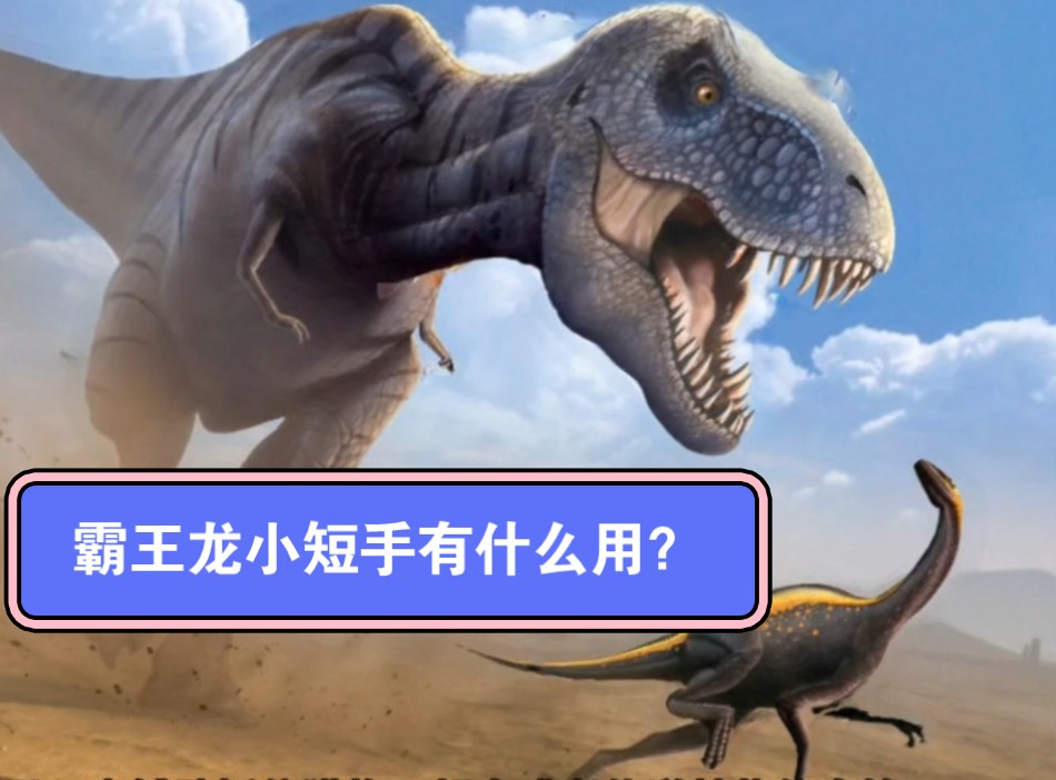 顶级掠食者霸王龙为什么长了个小短手?它的小短手有什么用?