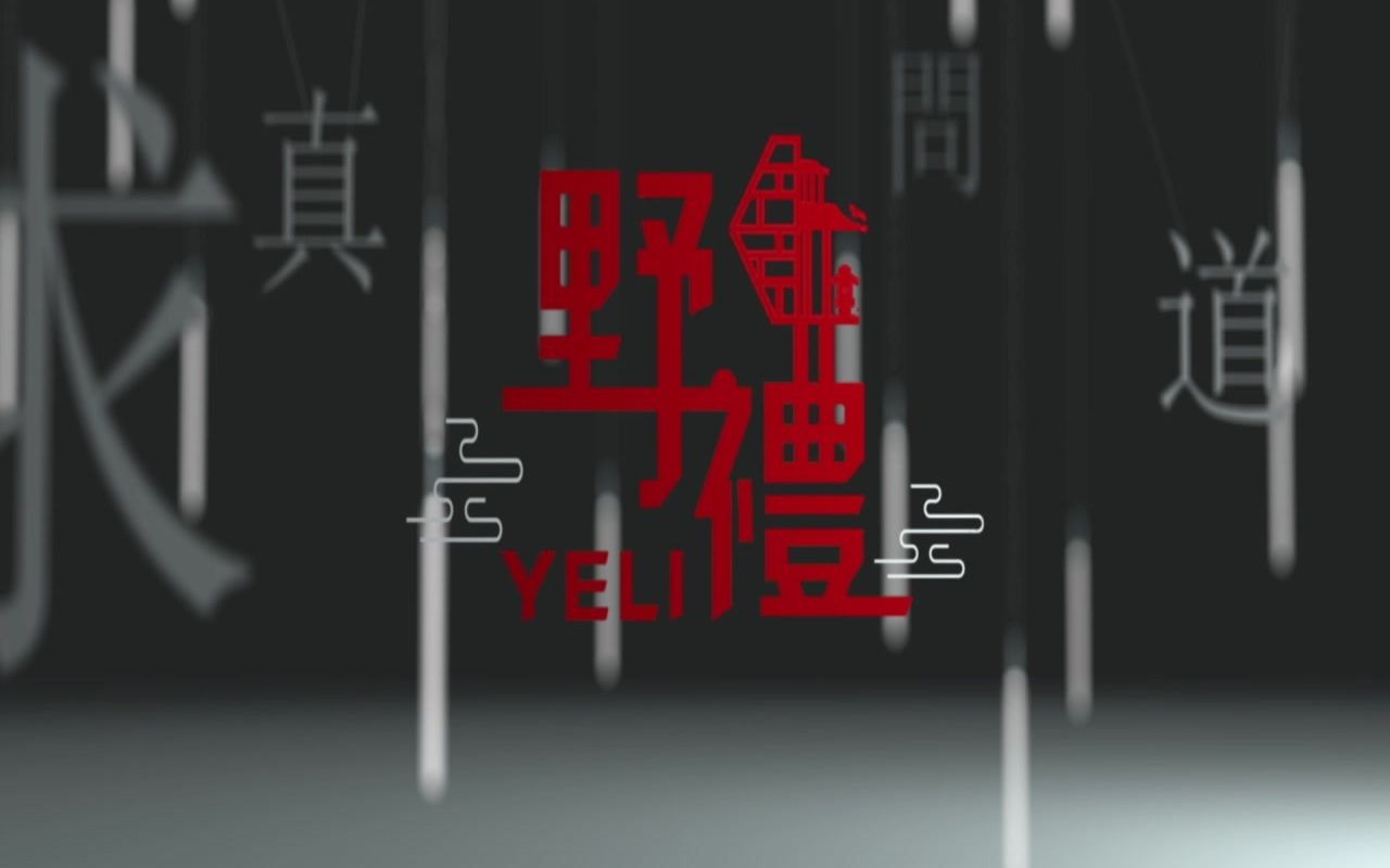 爱国政论节目野礼片头