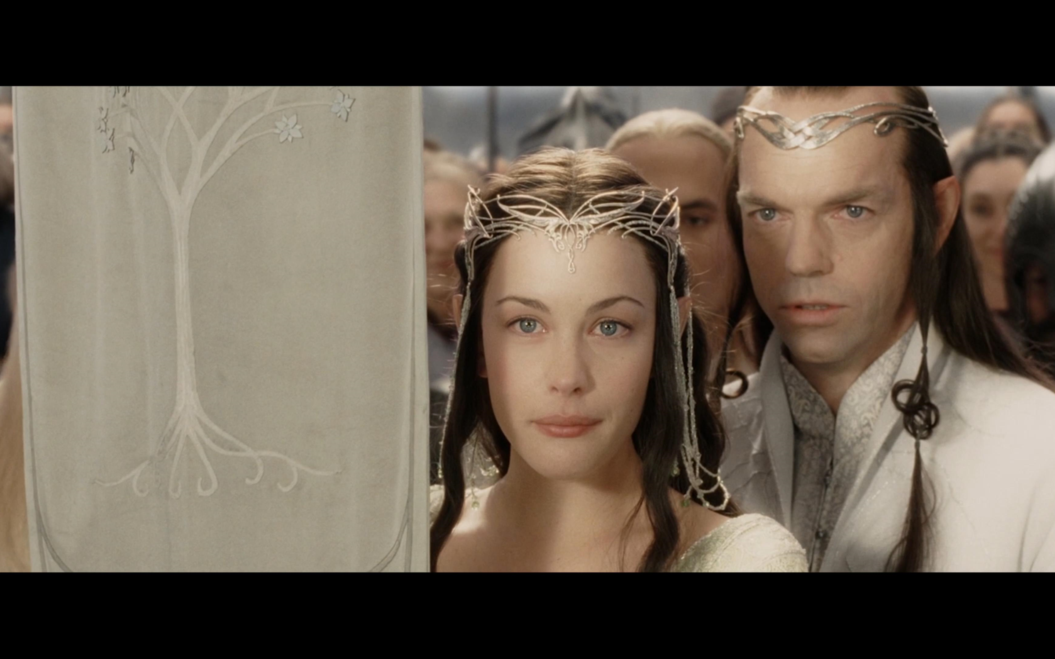中土世界最让人羡慕的一对精灵公主艾玟人皇阿拉贡