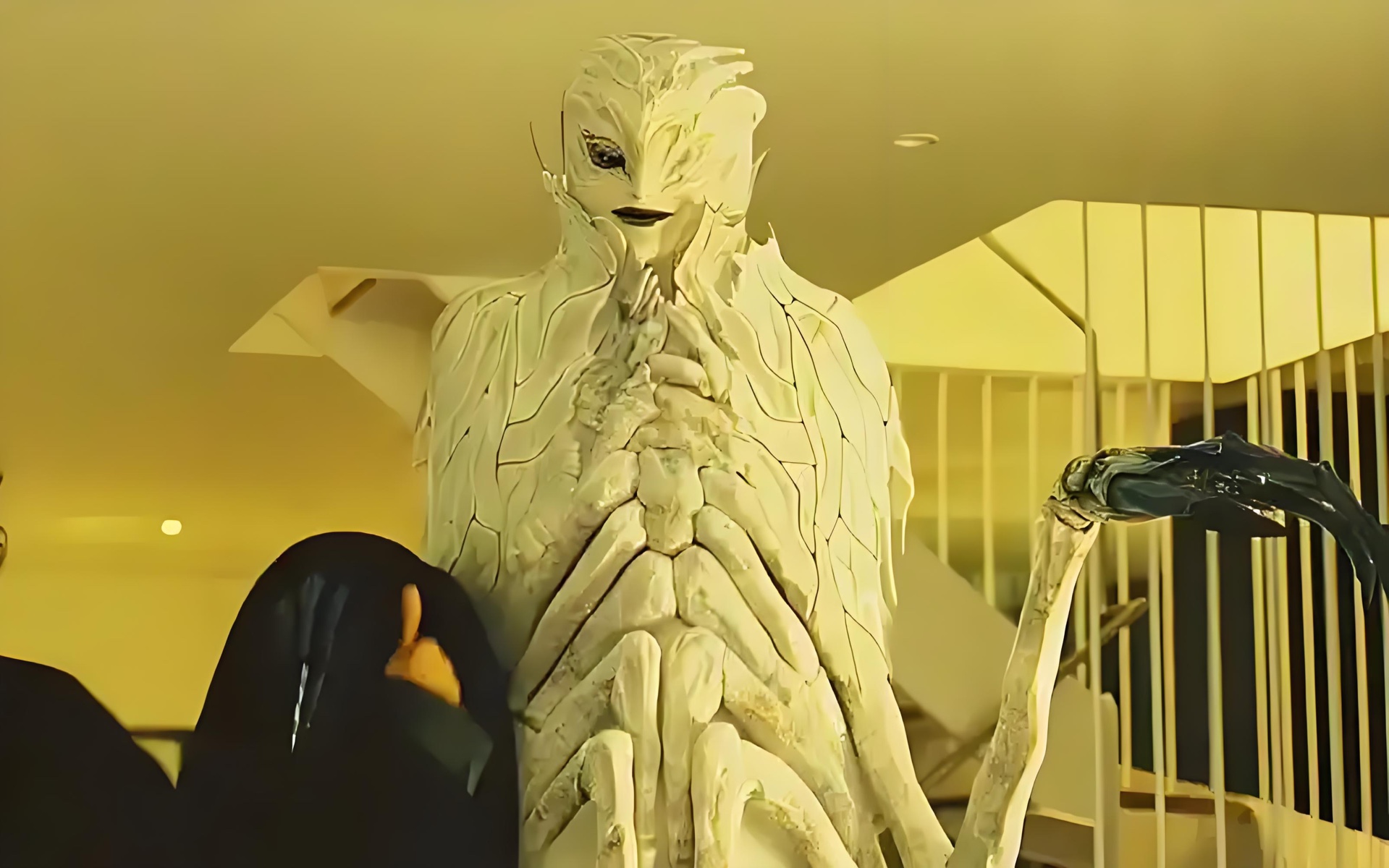 这只白色蛾子出现时优雅便有了定义,不对你有名字阿玛