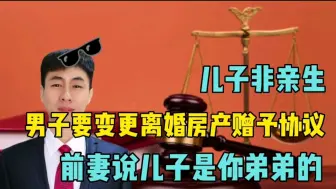 Descargar video: 儿子非亲生，男子要变更离婚房产赠予协议，前妻说儿子是你弟弟的！