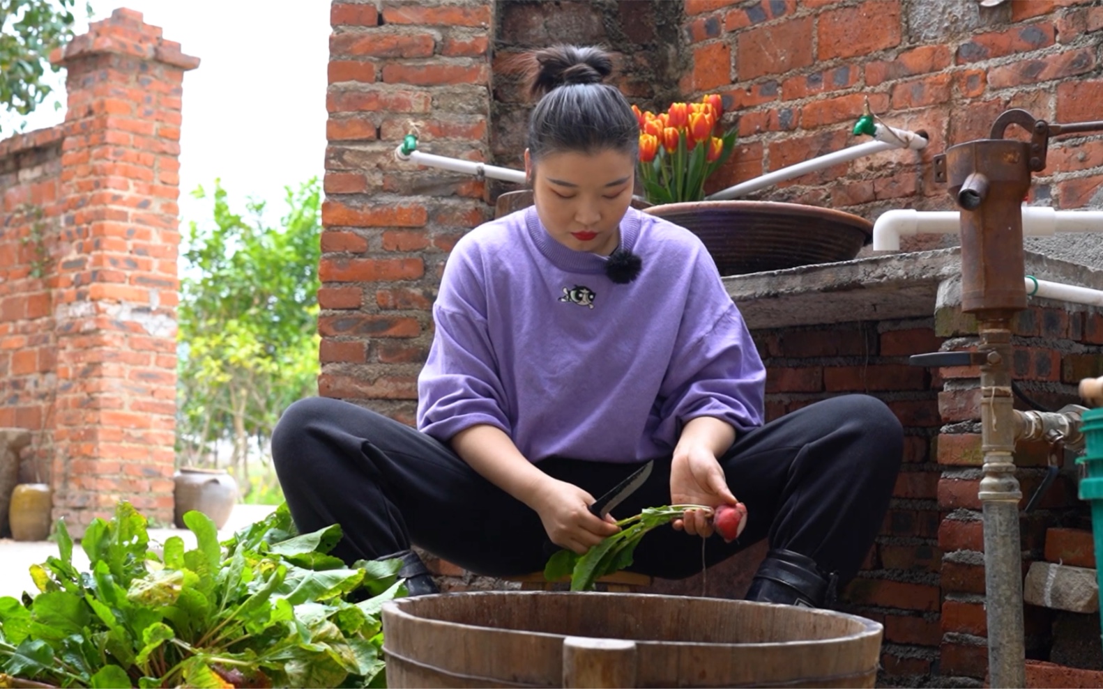 [图]九九加一九，耕牛遍地走。春深日暖，万物生机盎然，是春耕的时候了。