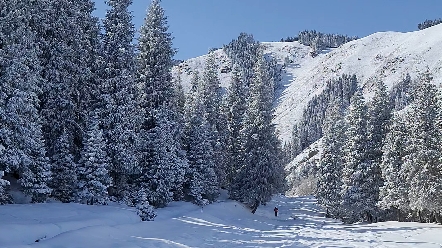 乌鲁木齐南山雪景图片图片