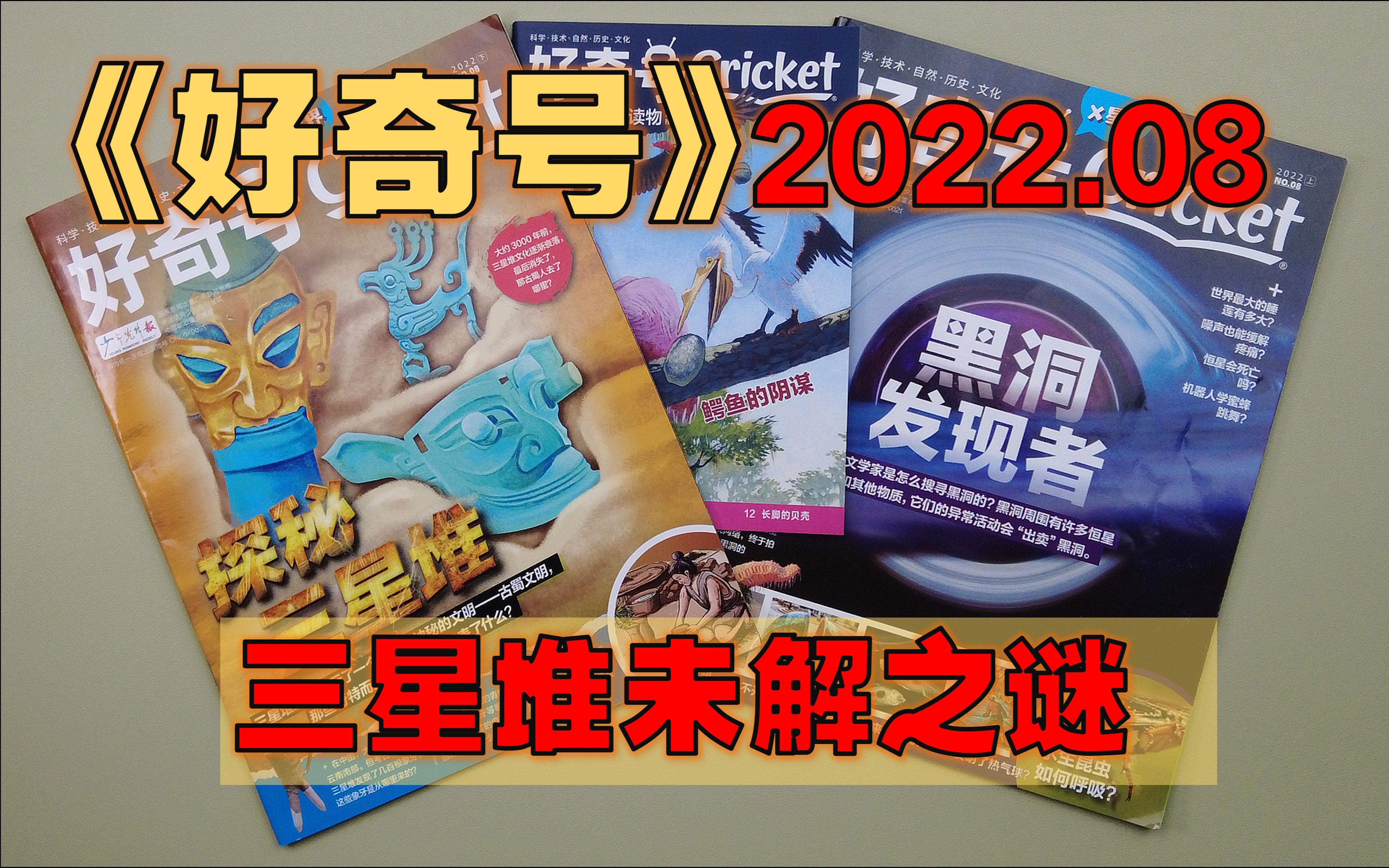 【月刊】《好奇号》 2022年8月  破解宇宙奥秘的女性科学家/ 三星堆考古大发现/ 古蜀谜团/ 鱼鳔的气体来自哪儿?/ 袜子精灵/哔哩哔哩bilibili