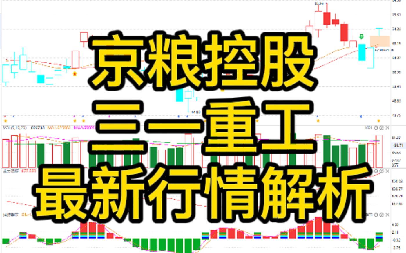 京粮控股、三一重工:最新行情解析!哔哩哔哩bilibili