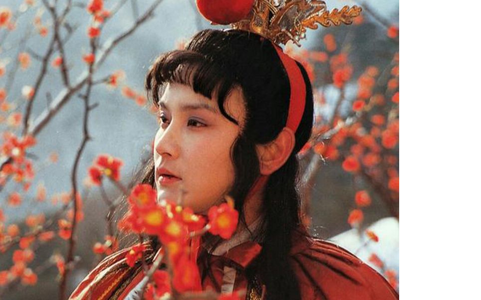 当年双鱼19岁掀起收视热潮198387欧阳奋强红楼梦贾宝玉