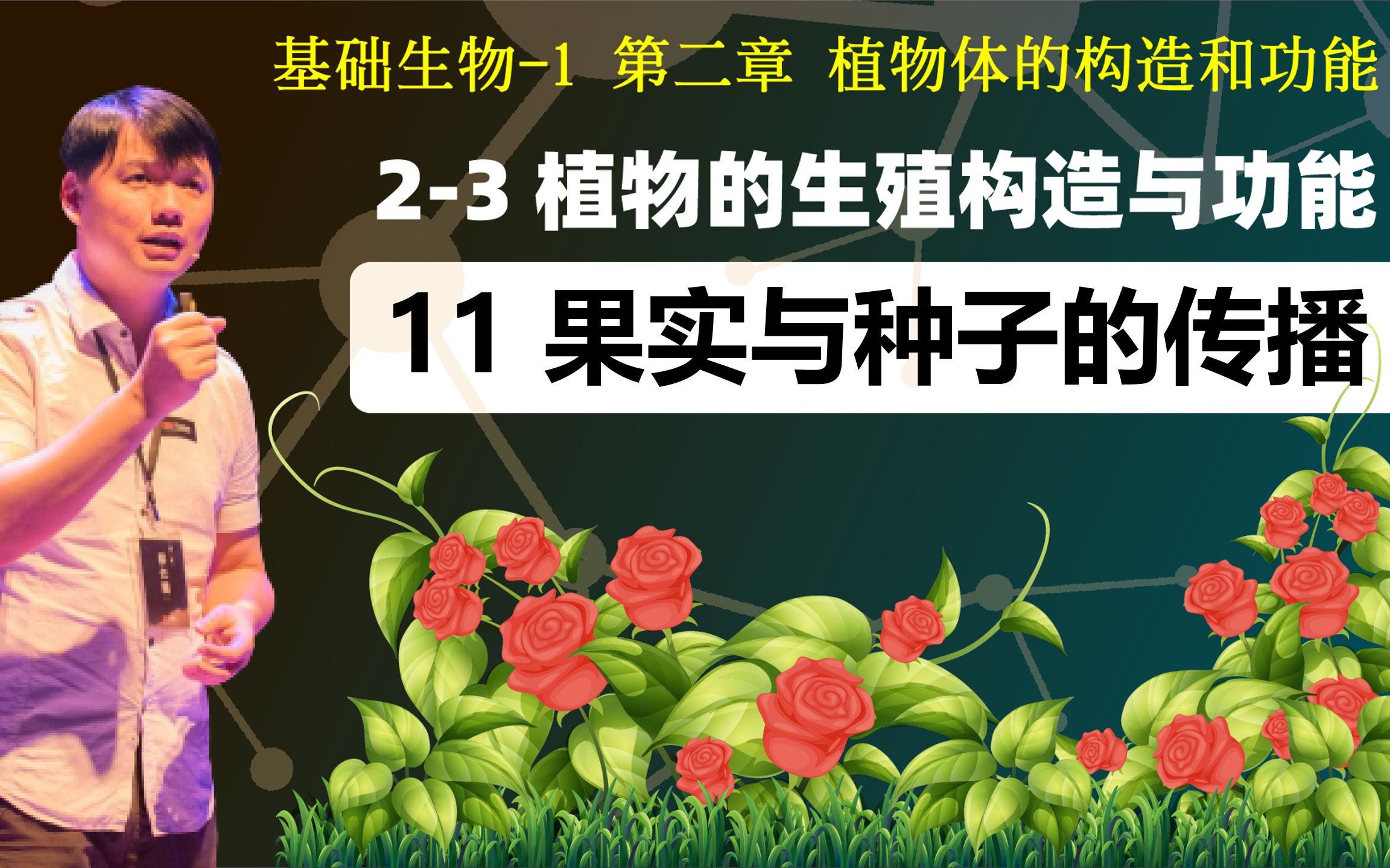 基础生物学 23.11 果实与种子的传播哔哩哔哩bilibili