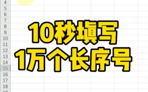 下载视频: 10秒填写1万个长序号～