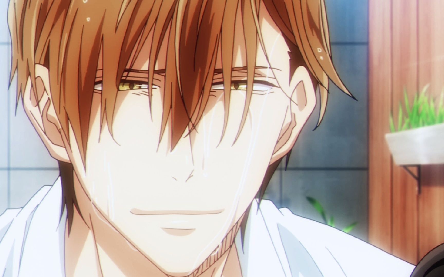 【抱胁】我的高人和蠢太