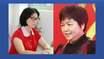 广东2名干部被查