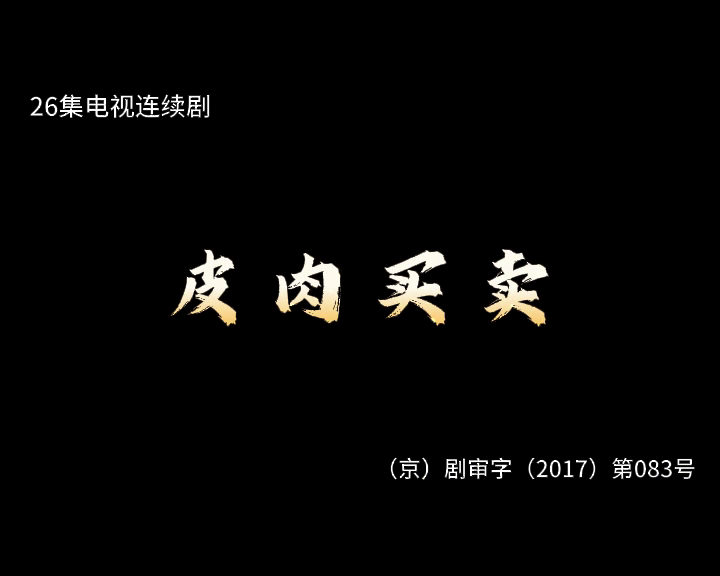 皮肉买卖 1集