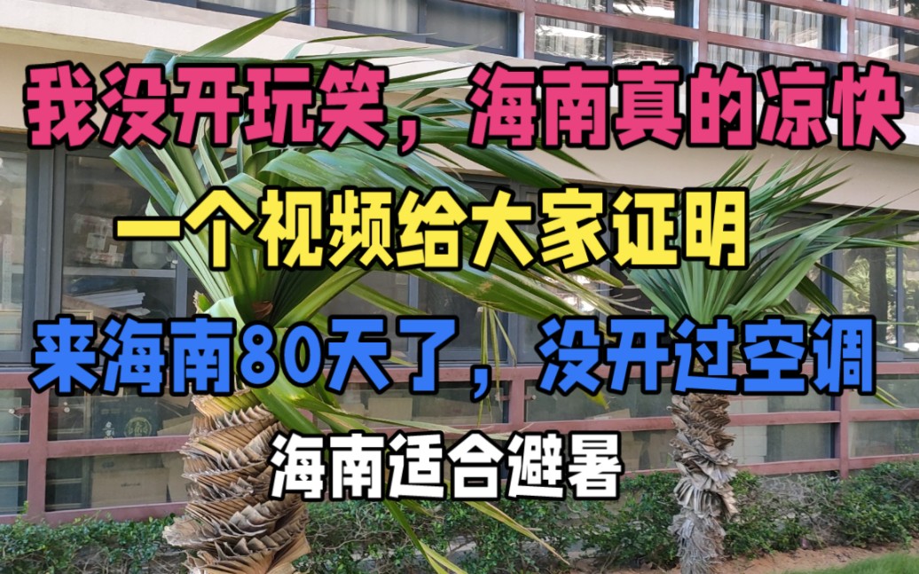 海南真的凉快,一个视频给大家证明,来海南80多天了,没开过空调哔哩哔哩bilibili