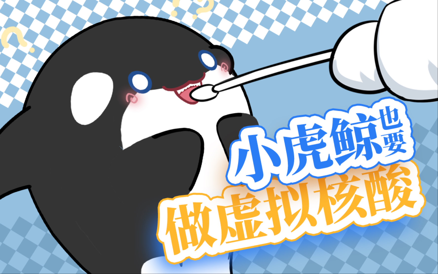 虎鲸上岸了也要做核酸吗