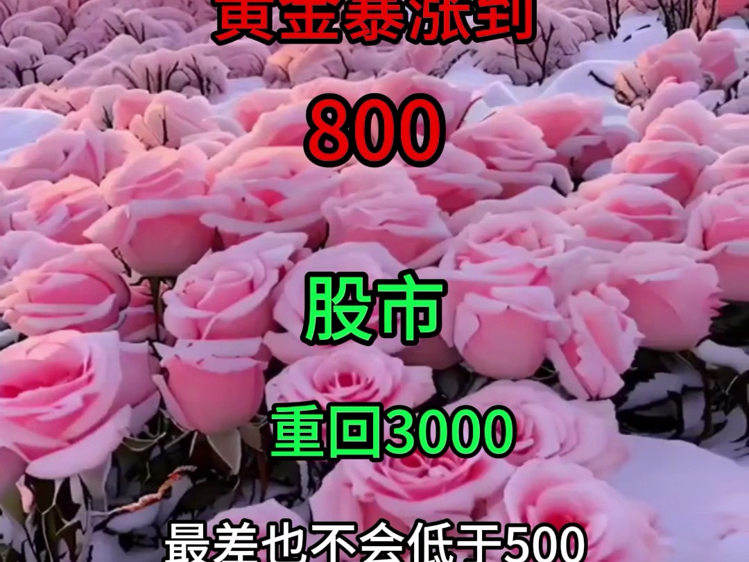 我预测,3年后,黄金暴涨800,股市重新跌回3000 .人类因为梦想而伟大!勇敢想象未来.大家是怎么预测的?#123珠宝 #哔哩哔哩bilibili