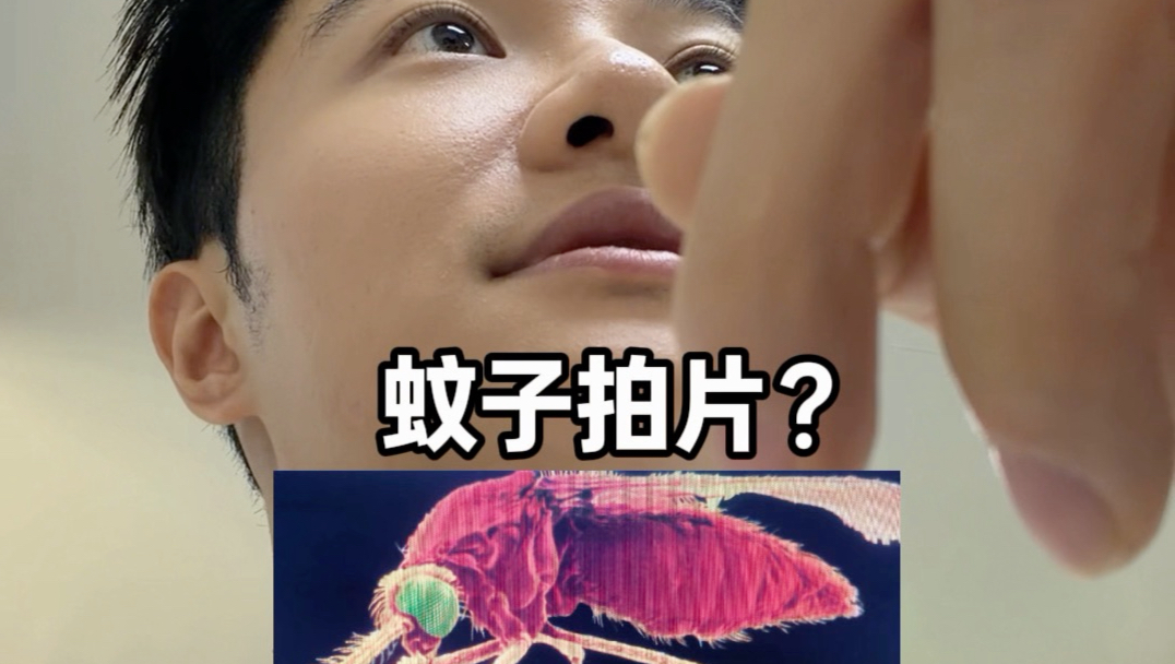 我的蚊子生病了，带它去看病