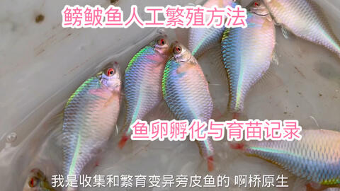 搜索 哔哩哔哩 つロ干杯 Bilibili 搜索 哔哩哔哩 つロ干杯 Bilibili