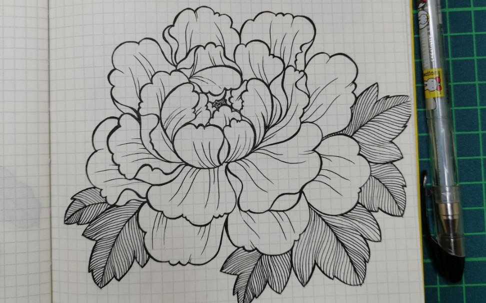 牡丹花的简单画法图片